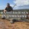 Wasserriesen in Zimbabwe